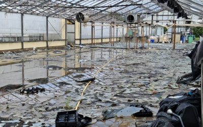 Maltempo, milioni di danni all’agricoltura: Coldiretti chiede lo stato di emergenza
