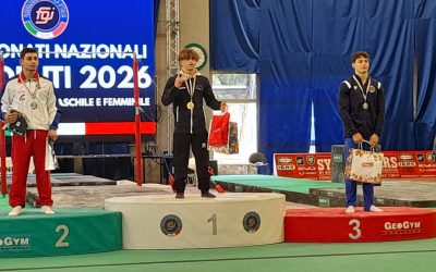 Argento al volteggio per Steven Matteo