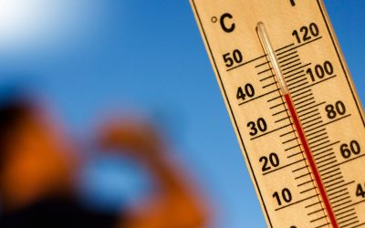 Caldo record. “Dietro quel fritto misto in riva al mare c’è una fatica estrema”
