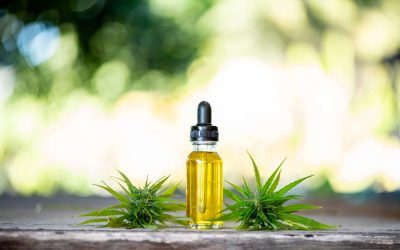 Olio CBD 10%, 20% o 30%: come cambia davvero la scelta
