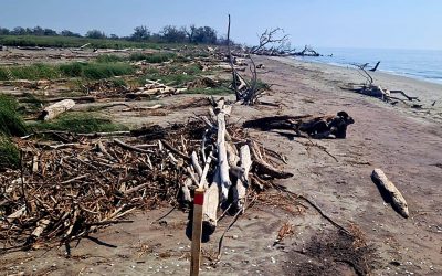 Goro, la riva arretra. Avviato monitoraggio periodico dello Scanno