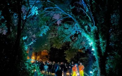 Ro Ferrarese, la notte nel bosco tra storia, natura e i personaggi di Bacchelli