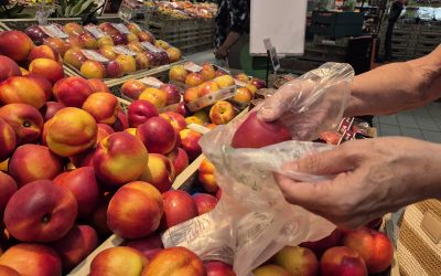 Ortofrutta alla Coop: un’estate di freschezza