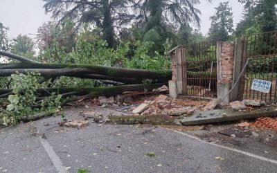 Nubifragio sul Ferrarese, vento e pioggia: Tresignana la zona più colpita