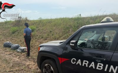 Berra, scarica tre sacchi di rifiuti sul Po: denunciato un 60enne