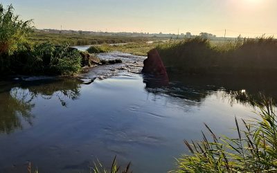 Si rompe l’argine, l’intervento immediato evita che il paese finisca sott’acqua