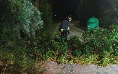 Il maltempo dalla Lombardia arriva nel Ferrarese: alberi abbattuti a Bondeno e Stellata