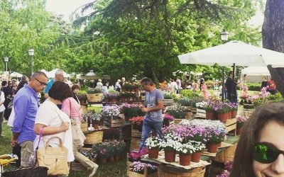Coccinelle in libertà alla Darsena per Giardini Estensi