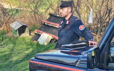 Rifiuti abbandonati fuori dai cassonetti, due persone sanzionate a Jolanda di Savoia