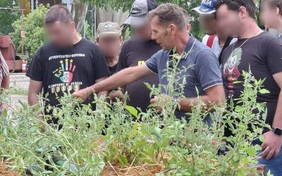 “L’Orto Abile – La terra che cura”, nuovo evento all’Azienda Agricola Billo