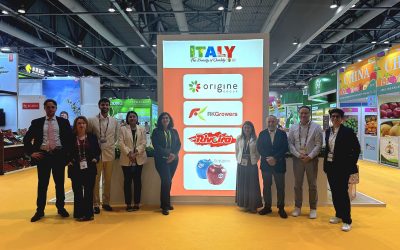 Asia Fruit Logistica, bilancio positivo per la collettiva di Cso Italy