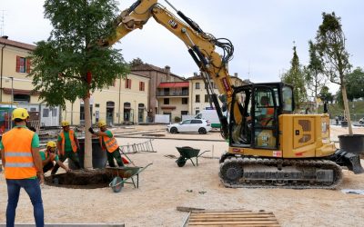 Piazza Travaglio, arrivano i primi alberi: al via la svolta verde