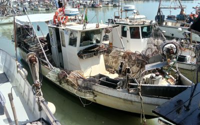 Piccola pesca, il rilancio parte da Goro e Porto Garibaldi