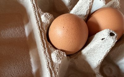Salmonella sulle uova, un richiamo per un lotto di Codigoro