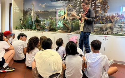 Da Ferrara al Delta, la scuola esce dall’aula con AmaParco: nuove proposte per il 2026/27