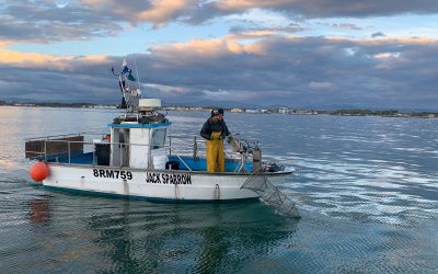 Nasce la prima Rete della Piccola pesca costiera dell’Emilia-Romagna