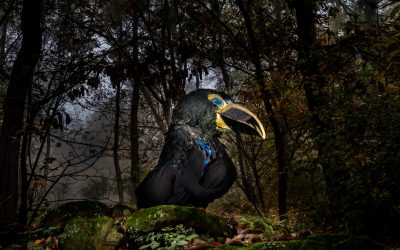Teatro, musica, comunità. Cinque giornate con “In mezzo scorre il fiume”