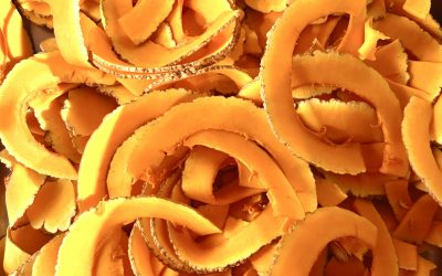 Torna l’atteso appuntamento con “Sere d’Autunno”