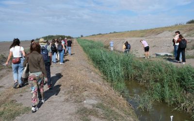 Consorzio di Bonifica Pianura di Ferrara: conclusa la due giorni del progetto Seacure con partner italiani ed europei