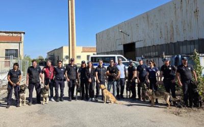 Polizia Locale, una giornata di addestramento intensivo per le unità cinofile