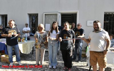 Casa Voltani nuovo polo culturale a Occhiobello
