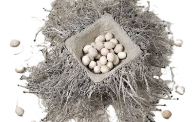 Dialoghi 1-2-3, tre protagonisti dell’arte del Novecento alla Idearte Gallery