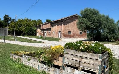 Sicurezza alimentare, un incontro per approfondire le nuove tecniche e inaugurare i laboratori Bonassisa
