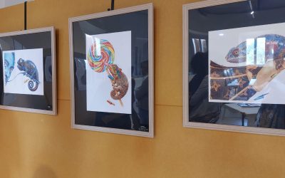 Pomposa. Inaugurata la mostra “In punta di penna”