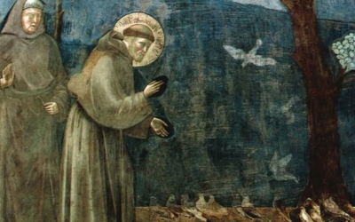 “Il Cantico delle creature”: all’Ariostea un approfondimento tra letteratura e immagini