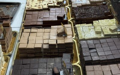 Ferrara inaugura “Puro Cioccolato Festival”