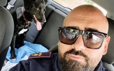 Poliziotto salva un cucciolo di cane dalla strada