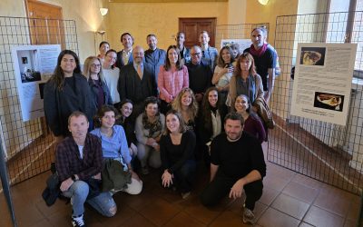 Housing First a Ferrara, rete tra pubblico e privato a contrasto della marginalità