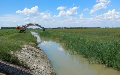 Completati i lavori di sfalcio sul cavo Cavalletta