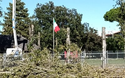 Lido Nazioni, Legambiente denuncia: “Abbattuti gli alberi del Capanno Garibaldi”