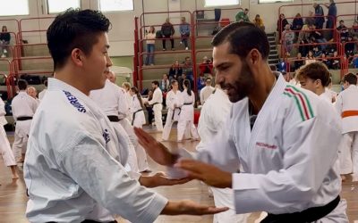 Karate, Busà e Nishiyama a Ferrara per “One Karate-All Ages”
