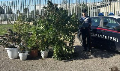 A processo per la serra casalinga di marijuana