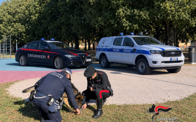 Ferrara, 20 grammi di hashish in via Darsena: arrestato un ventenne