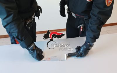 Dopo una lite aggrediscono i carabinieri, arrestati