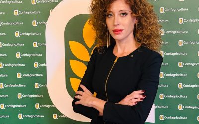 Agricoltura, 160 milioni per gli investimenti: Ferrara chiede incentivi accessibili