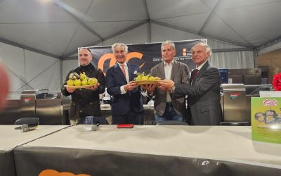 Al Ferrara Food Festival il “lato pop” della Pera dell’Emilia-Romagna Igp conquista il pubblico